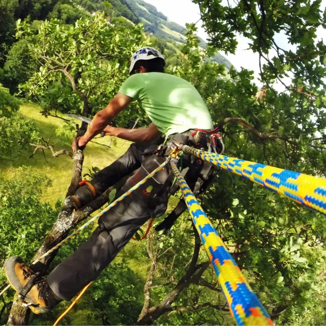 Arboristické lano Teufelberger drenaLINE 11,8 mm - Dĺžka: 60 m, Ukončenie: so splietaným okom