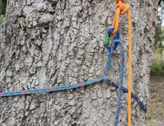 Kotviace lano na strom Teufelberger chainANCHOR