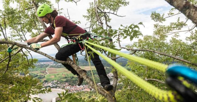 Arboristický postroj Edelrid Treerex II - Verzia: Set Treerex + Bungee Chest, Veľkosť: 1