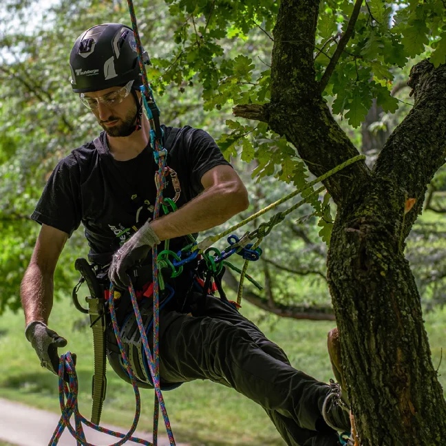 Arboristické lano Teufelberger Gravity 11,5 mm - Dĺžka: 183 m, Farba: aurora, Ukončenie: bez splietaného oka