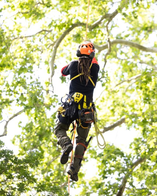 Postroj pre arboristiku Petzl Sequoia