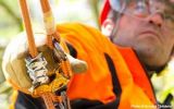 Petzl Zigzag