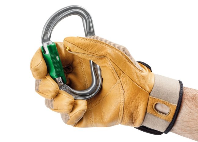 Asymetrická karabína Petzl Am´D - Typ: triact lock, Farba: čierna