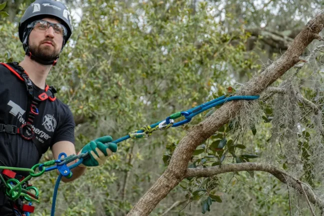Kladka pre arboristiku Teufelberger glideHITCH