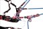 Kmeňovka Camp Gyro Lanyard - Typ: double, Dĺžka: 5 m