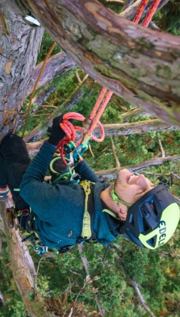 Arboristické lano Edelrid Jacamar 12,6 mm - Dĺžka: 36 m, Ukončenie: splietané oko