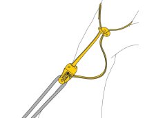 Cambium saver s kladkou Petzl Eject