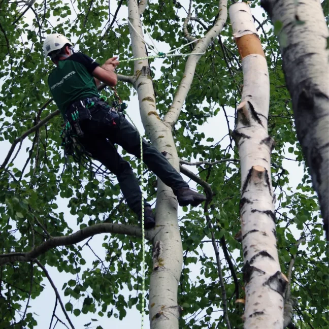 Kotviace lano Teufelberger multiANCHOR