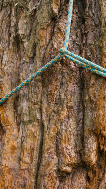 Arboristické lano Edelrid Bucco 11,6 mm - metráž