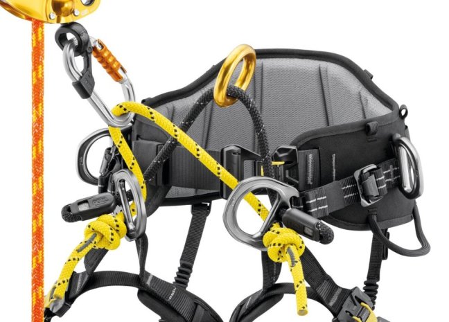 Postroj pre arboristiku Petzl Sequoia