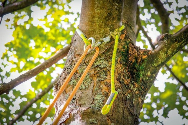 Nastavitelné cambium Singing Rock Bark Ring Saver - Dĺžka: 150 cm