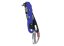 Zlaňovacia brzda Petzl Stop - Typ: Set Stop a Freino Z, Farba: modrá