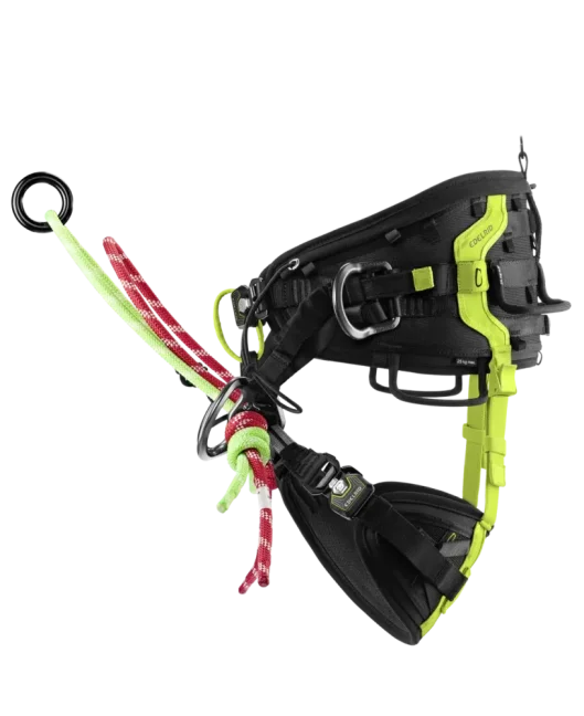 Arboristický postroj Edelrid Treerex II - Verzia: Set Treerex + Bungee Chest, Veľkosť: 1