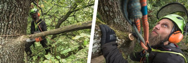 Arboristické lano Edelrid Bucco 11,6 mm - Dĺžka: 36 m, Farba: oranžové