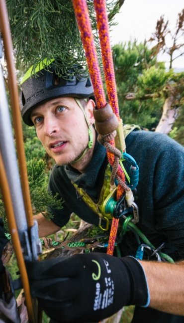 Arboristické lano Edelrid Jacamar 12,6 mm - Dĺžka: 36 m, Ukončenie: splietané oko