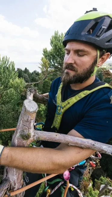 Arboristický hrudný postroj Edelrid Treerex Bungee Chest