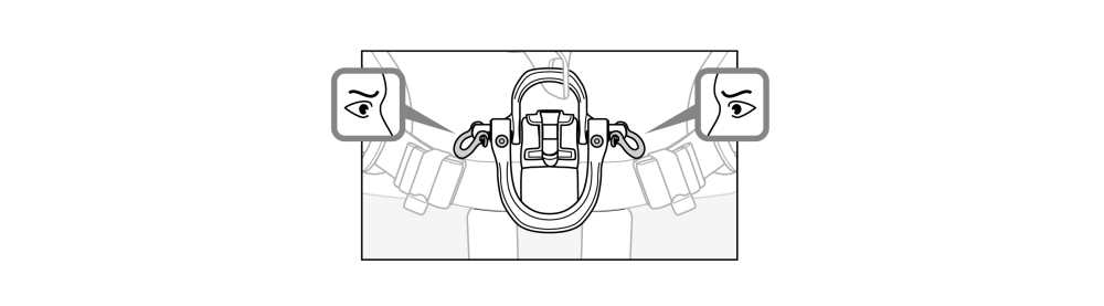 Petzl Astro + Shackles