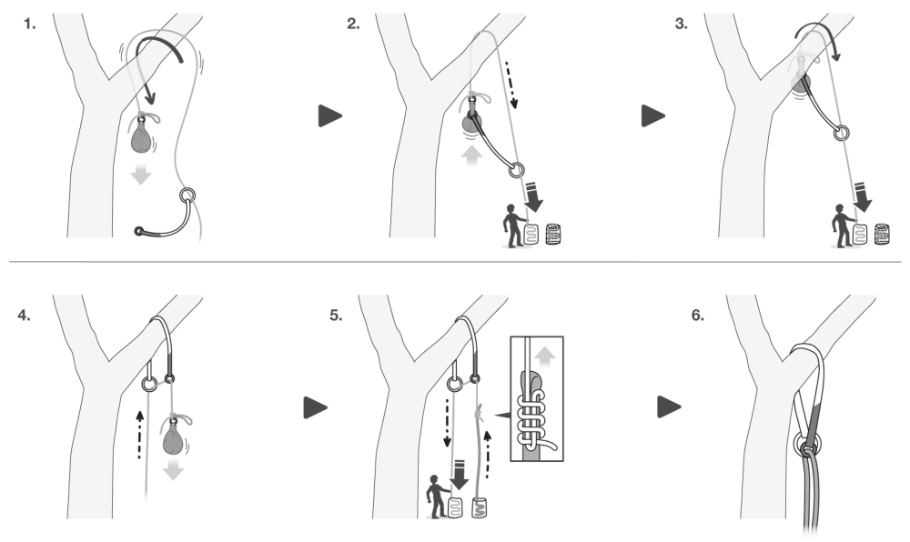 inštalácia chrániča kambia do koruny stromu