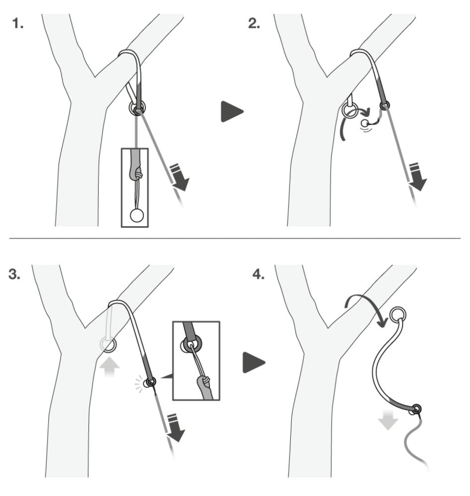 Treesbee použitie kambium saver sťahovanie chrániča kambia zo stromu